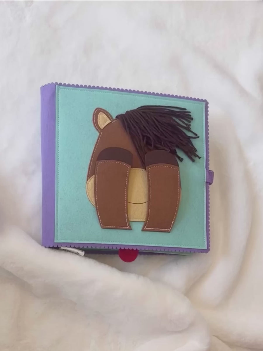 Handsome Horse Baby Book